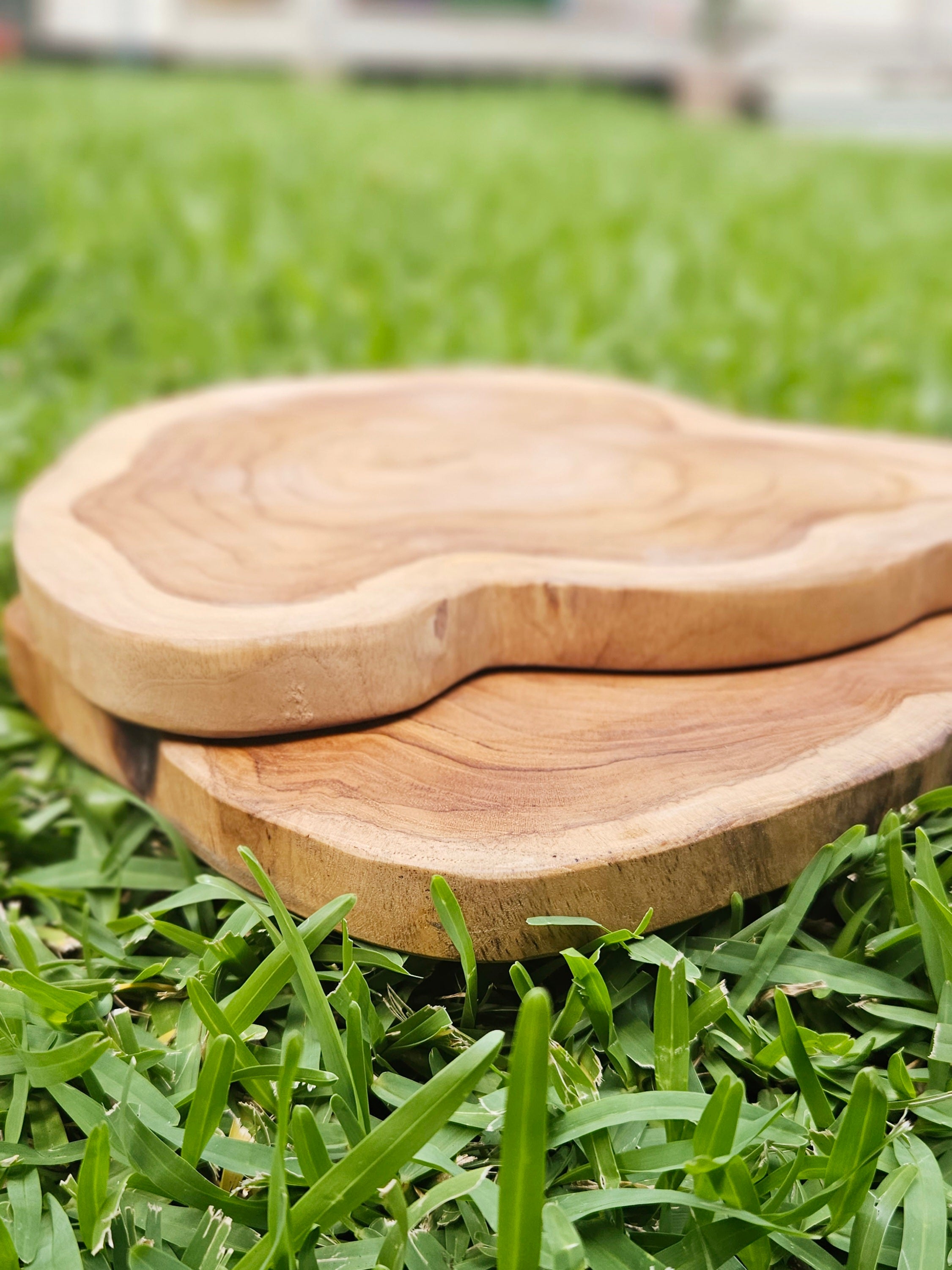Timber Slice | Papoose Toys image 5