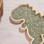 T-Rex Dinosaur Play Tray image 1
