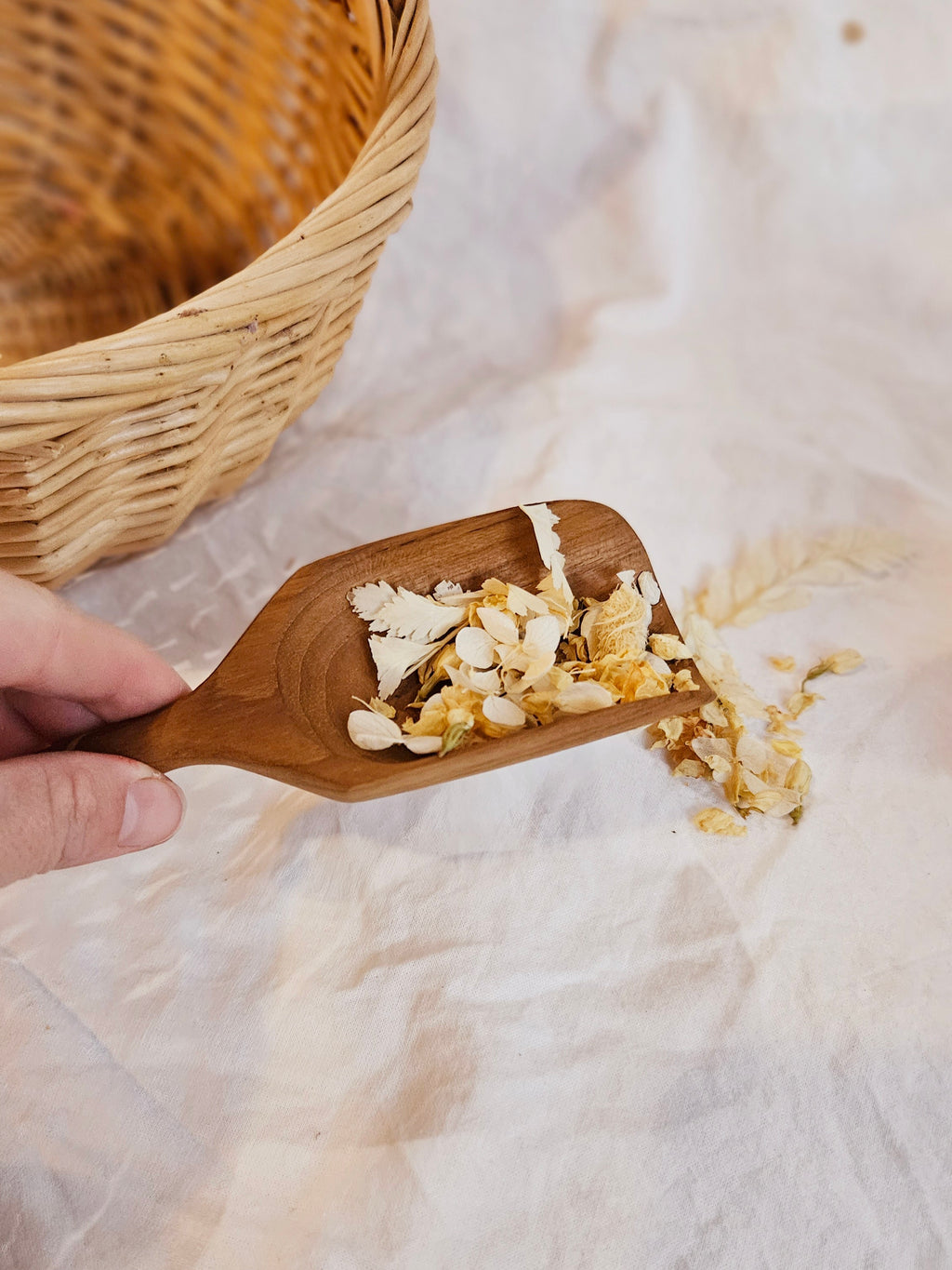 Teak Bean Scoop | Papoose Toys image 2
